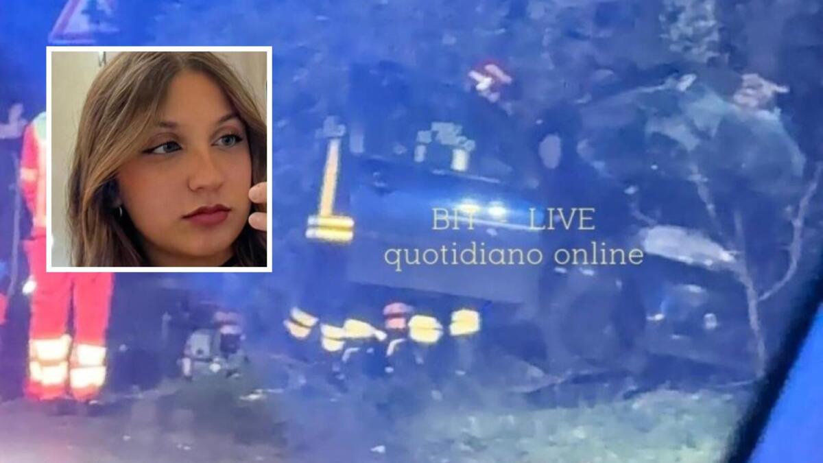 Galleria foto 'Bitetto, perde il controllo dell’auto e finisce contro un grosso ulivo: muore una ragazza di 20 anni' - foto 1