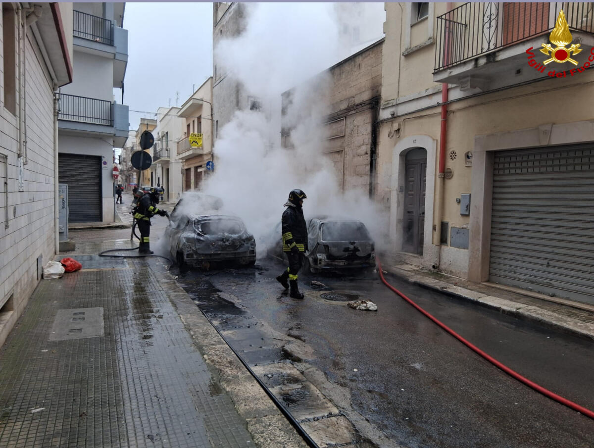 Galleria foto 'Gioia del Colle, auto in marcia va a fuoco: il conducente si salva ma le fiamme si propagano a un’altra vettura' - foto 4