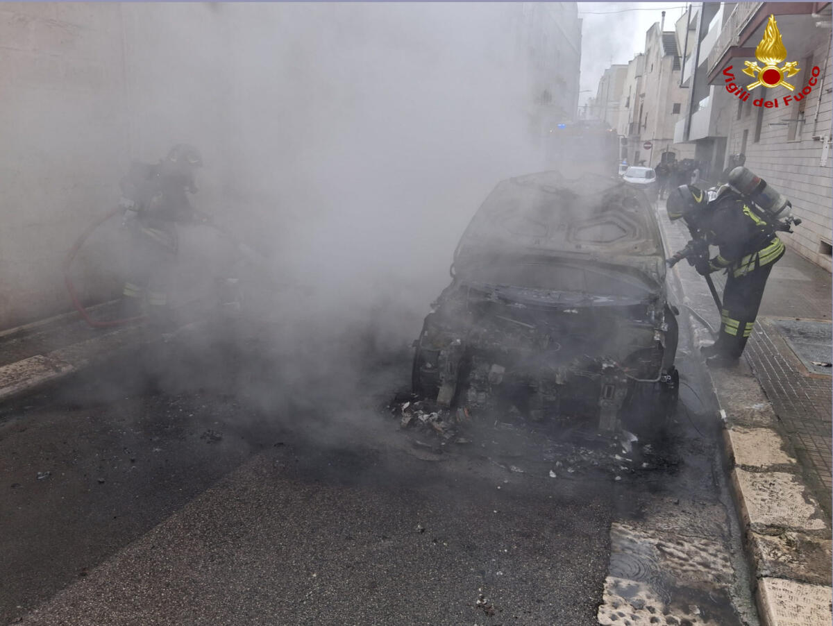 Galleria foto 'Gioia del Colle, auto in marcia va a fuoco: il conducente si salva ma le fiamme si propagano a un’altra vettura' - foto 2