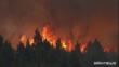 Argentina, le fiamme devastano la Patagonia: in fumo almeno 45mila ettari di foresta – VIDEO