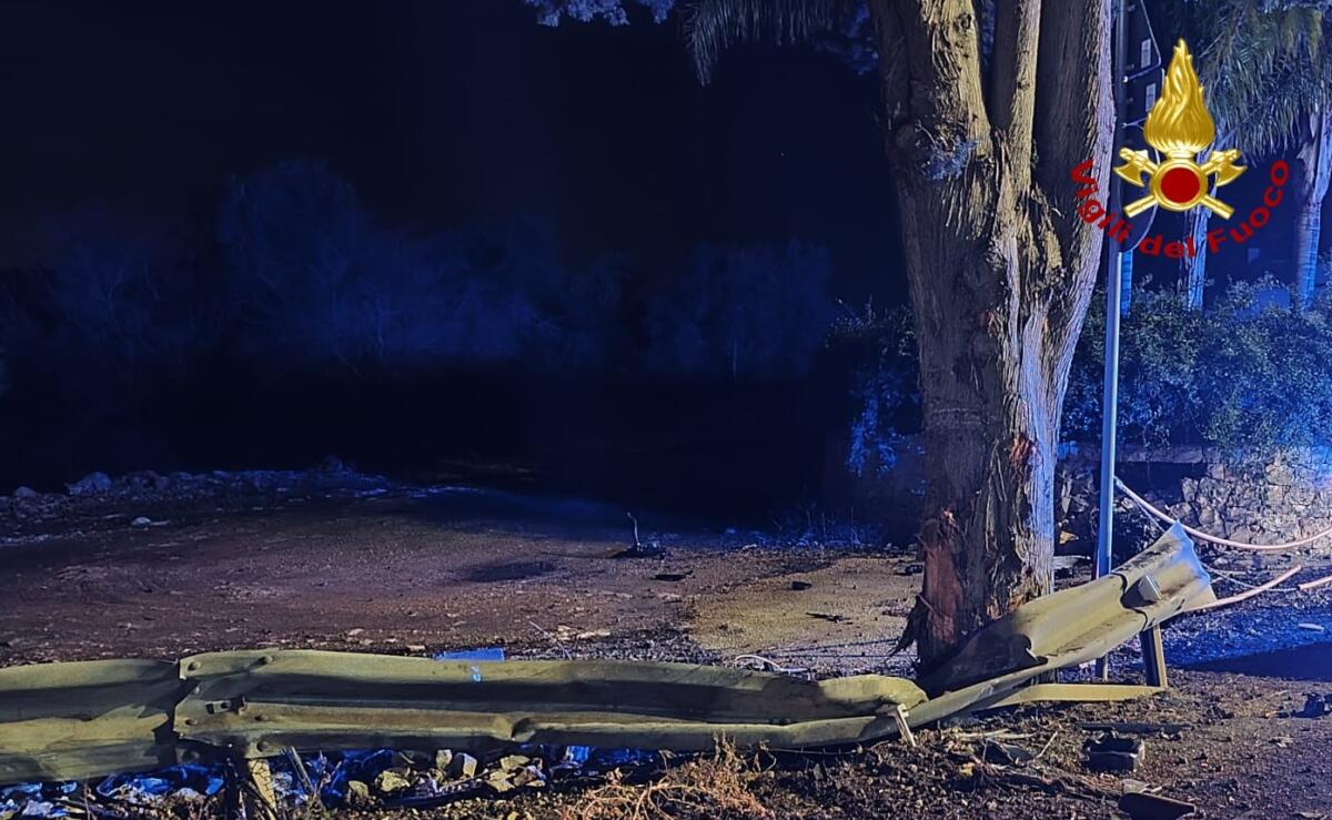 Galleria foto 'Incidente tra Mola e Rutigliano, auto contro un albero: muore una 26enne, tre feriti. Tra loro un bambino' - foto 2