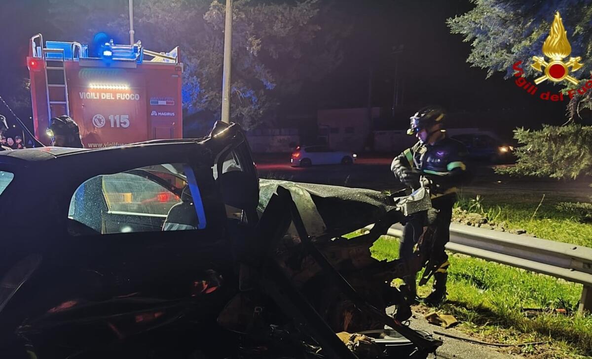 Galleria foto 'Incidente tra Mola e Rutigliano, auto contro un albero: muore una 26enne, tre feriti. Tra loro un bambino' - foto 3
