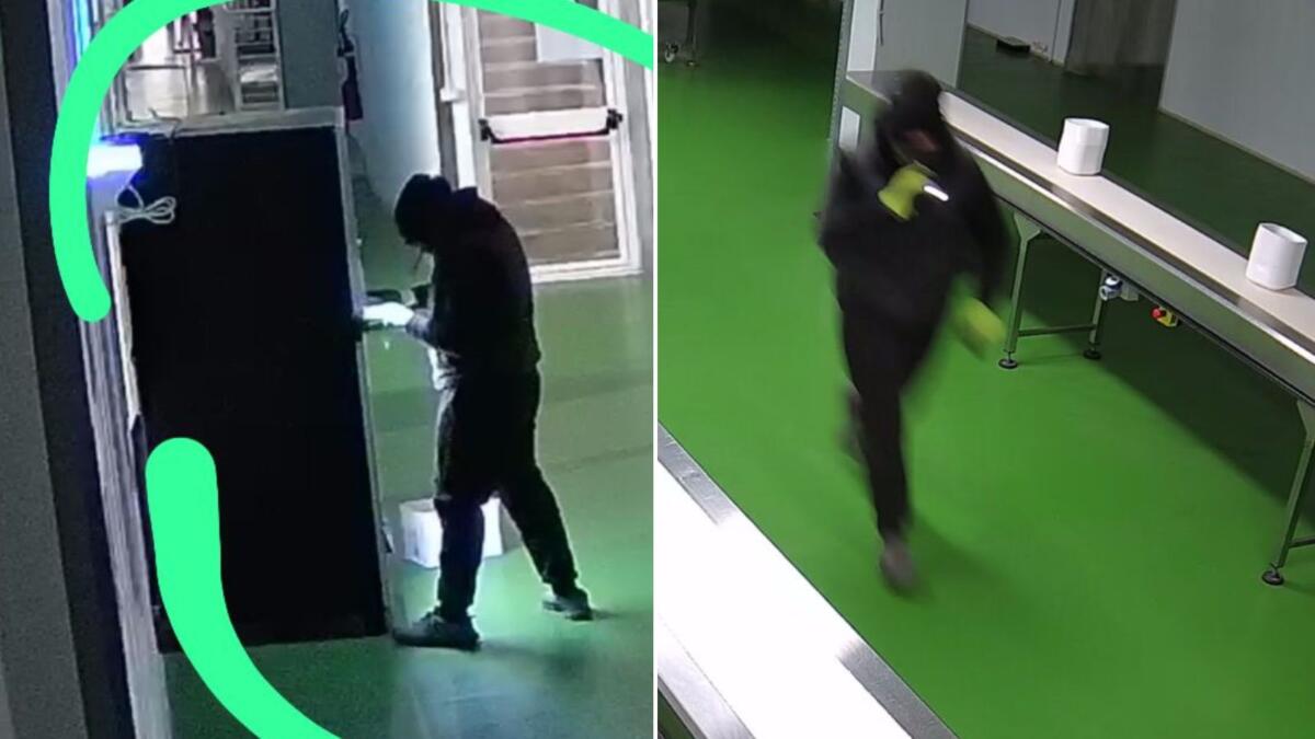 Foggia, furto nella notte nello stabilimento della Ladisa Ristorazione: i ladri ripresi dalle telecamere – FOTO Foggia, furto nella notte nello stabilimento della Ladisa Ristorazione: i ladri ripresi dalle telecamere – FOTO