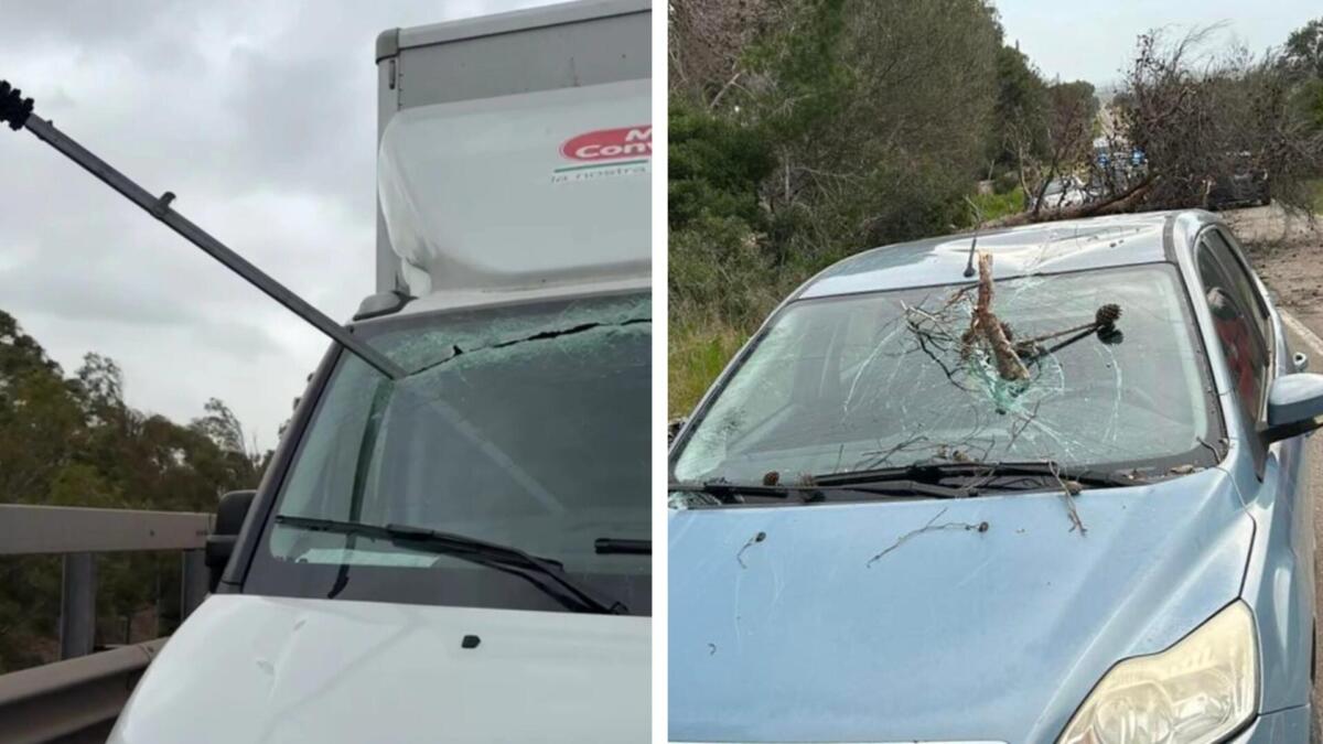 Galleria foto 'Disagi per maltempo nel Tarantino: il vento stacca il telone di un tir, un ferito. Cadono alberi sulle strade' - foto 1