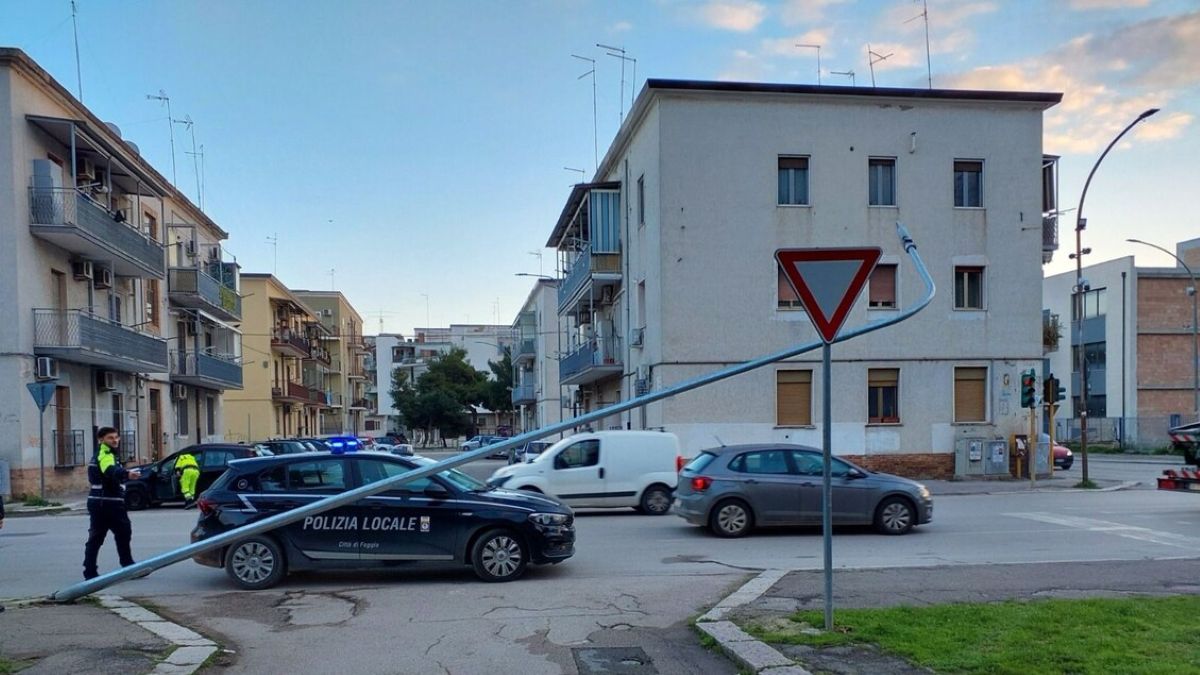 Galleria foto 'Paura a Foggia, crolla un palo della pubblica illuminazione in una strada trafficata: nessun danno' - foto 1
