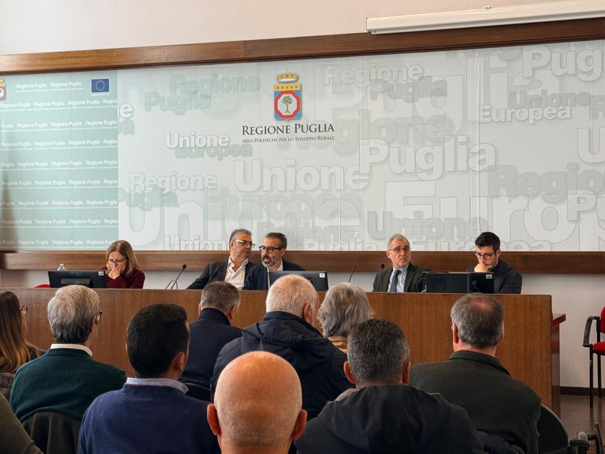 Galleria foto 'Crisi del latte in Puglia, la Regione convoca il tavolo d’emergenza. Paolicelli: «Serve un prezzo giusto»' - foto 1