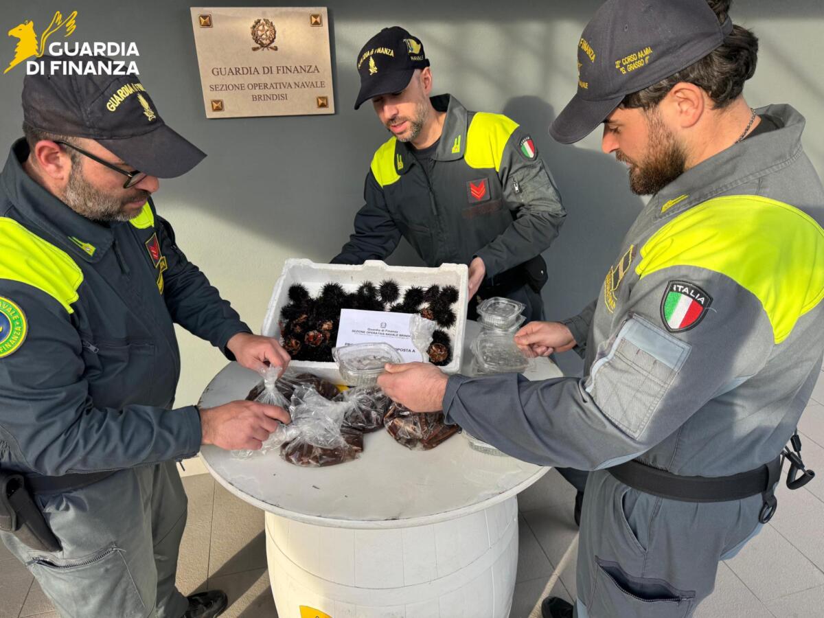Pesca di frodo nelle acque del Brindisino, due denunce: sequestrati datteri, novellame e ricci di mare Pesca di frodo nelle acque del Brindisino, due denunce: sequestrati datteri, novellame e ricci di mare