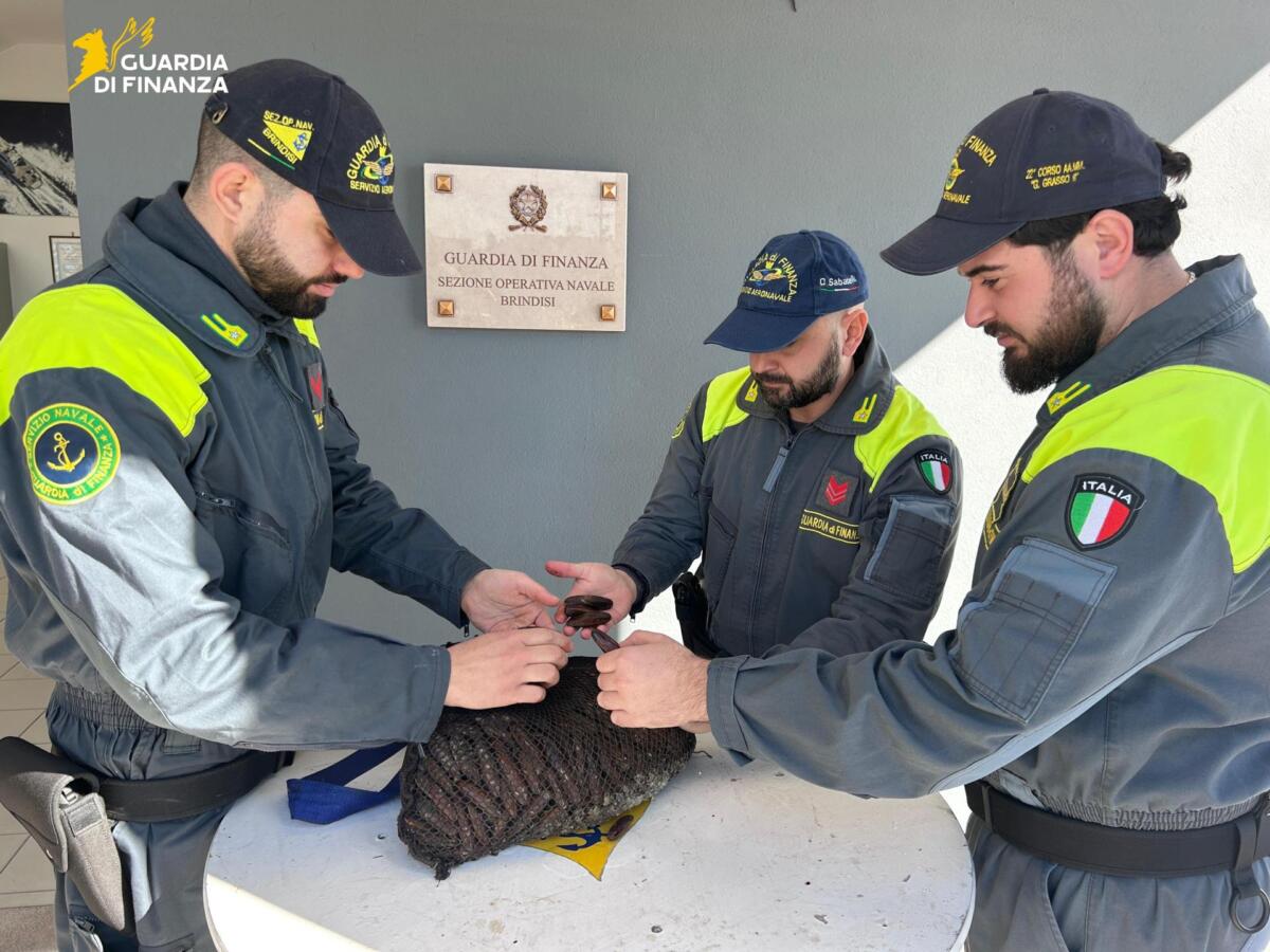 Pesca di frodo nelle acque del Brindisino, due denunce: sequestrati datteri, novellame e ricci di mare Pesca di frodo nelle acque del Brindisino, due denunce: sequestrati datteri, novellame e ricci di mare