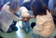 Boom della pet economy, oltre 783mila animali domestici nelle case pugliesi: Lecce guida la classifica