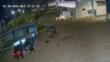 Palo del Colle, imprenditore picchiato e rapinato nel parcheggio dell’azienda: «Sappiamo che hai i figli a casa»