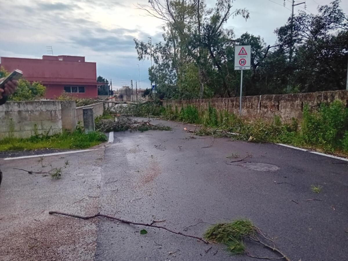 Maltempo in Puglia, c’è l’allerta arancione: a Bari crolla un pezzo di lungomare, tromba d’aria nel Brindisino – VIDEO Maltempo in Puglia, c’è l’allerta arancione: a Bari crolla un pezzo di lungomare, tromba d’aria nel Brindisino – VIDEO