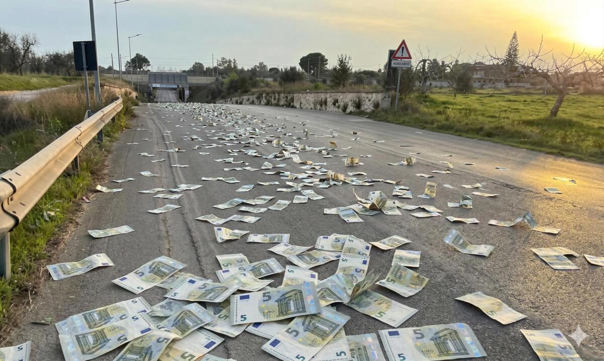 Galleria foto '“Pioggia di banconote” a Squinzano, volano soldi dal camion della frutta: automobilisti in coda per raccoglierli' - foto 1