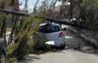 Maltempo in Puglia, disagi per il forte vento nel Foggiano: a San Severo un albero si abbatte su un’auto
