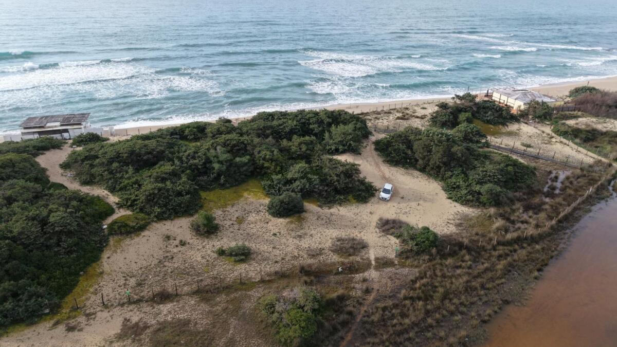 Galleria foto 'Parcheggia l’auto sulle dune dell’area protetta di Porto Cesareo: denunciato un pescatore – FOTO' - foto 4