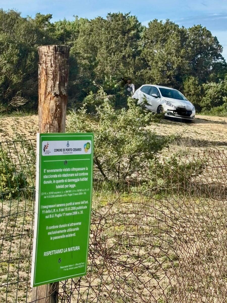 Galleria foto 'Parcheggia l’auto sulle dune dell’area protetta di Porto Cesareo: denunciato un pescatore – FOTO' - foto 1