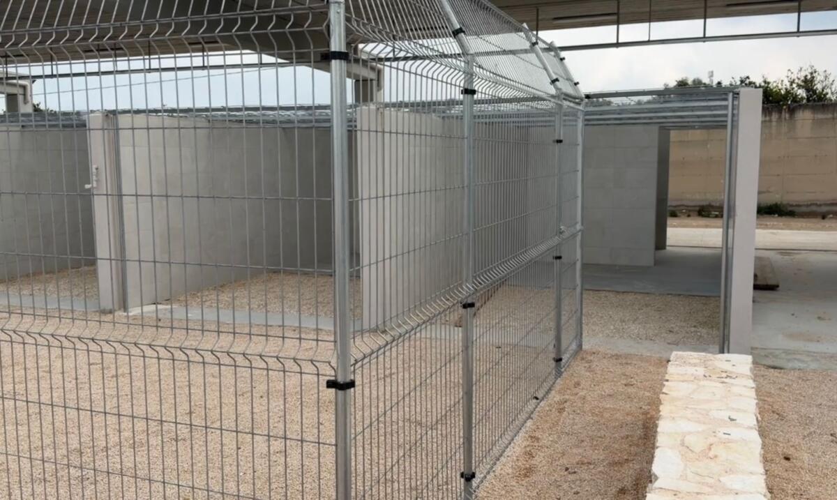 Triggiano, il canile intercomunale sarà pronto a fine maggio: sorge su terreni confiscati alla criminalità – FOTO Triggiano, il canile intercomunale sarà pronto a fine maggio: sorge su terreni confiscati alla criminalità – FOTO