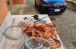 Melissano, provano a vendere 42 chili di cavi di rame rubati: arrestati due uomini di 35 e 50 anni