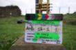 Ciak, si gira a Bari: arrivano due set cinematografici. Scatta la rivoluzione del traffico dall’8 marzo