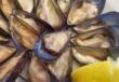 Epatite A, Lopalco rassicura: «Le cozze crude non sono le uniche colpevoli. In Puglia possiamo mangiarle»