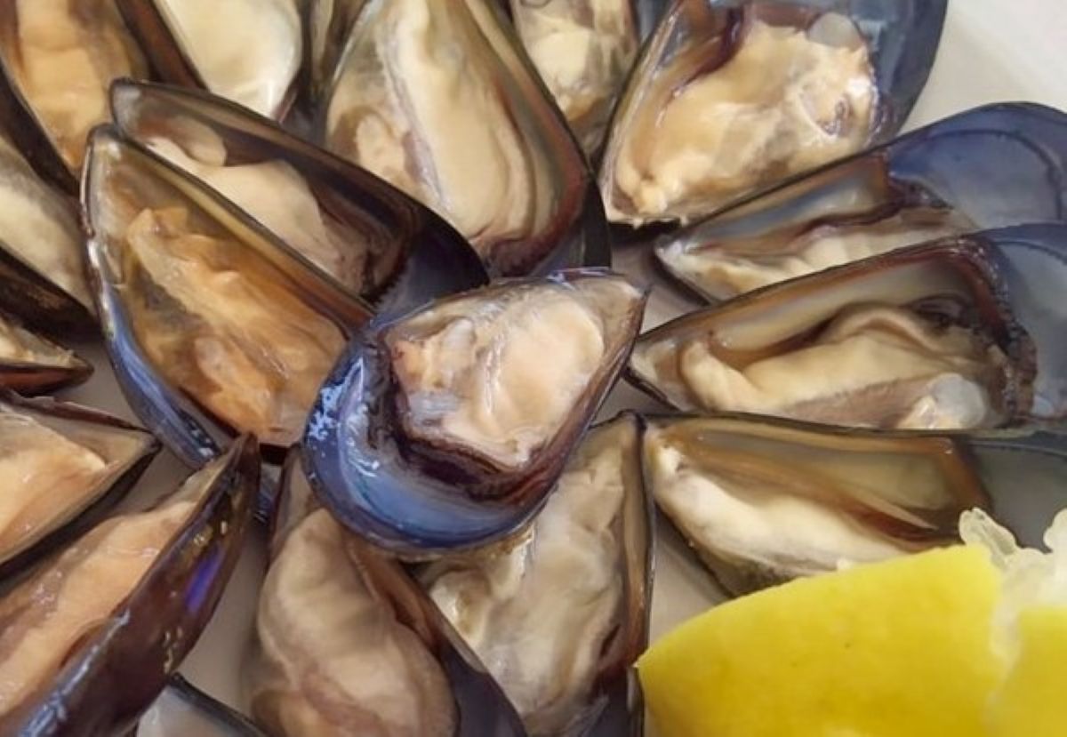 Galleria foto 'Epatite A, Lopalco rassicura: «Le cozze crude non sono le uniche colpevoli. In Puglia possiamo mangiarle»' - foto 1