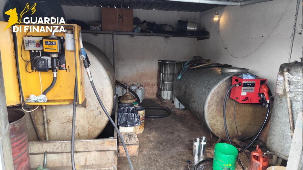 Frode sul gasolio agricolo in Puglia, tre arresti e 23 indagati: evase accise per circa 156mila euro Frode sul gasolio agricolo in Puglia, tre arresti e 23 indagati: evase accise per circa 156mila euro