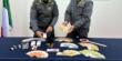Brindisi, a casa a quasi un chilo di hashish e 8.500 euro in contanti: arrestato un 25enne