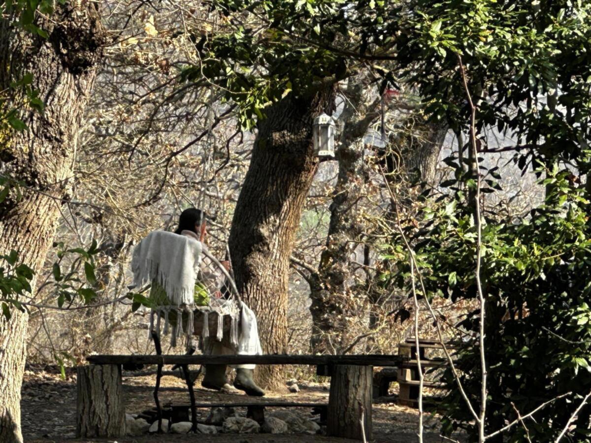 Galleria foto 'Famiglia nel bosco, Nathan chiede di fermare le proteste. Rafforzata la scorta alla giudice' - foto 1
