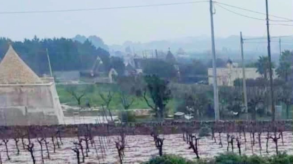 Galleria foto 'Maltempo, forte grandinata sulla Puglia meridionale: campagne imbiancate. C’è l’allerta gialla' - foto 1