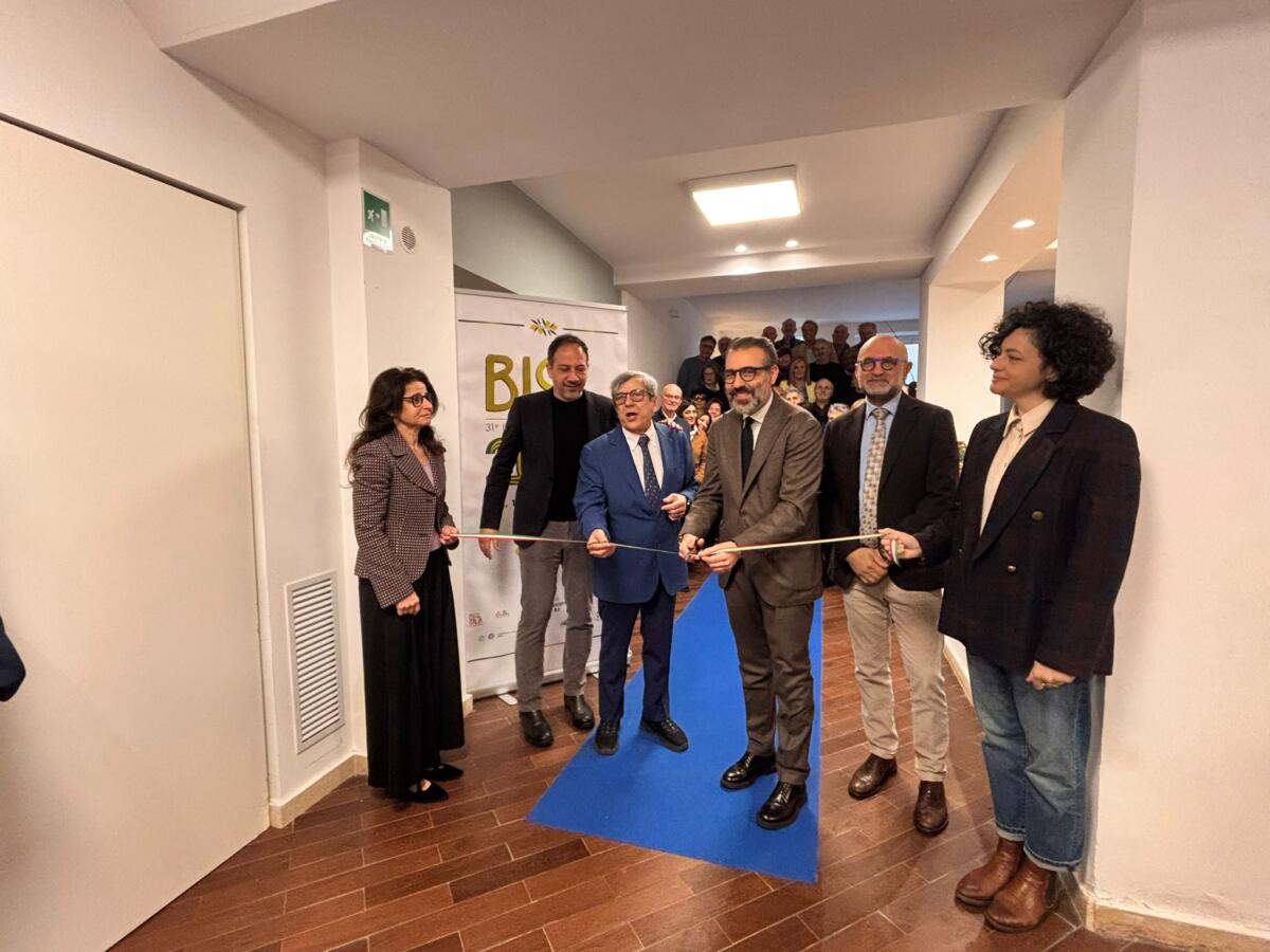 Galleria foto 'Bari, via a Biol 2026: un premio per il miglior olio biologico del mondo, si sfidano 504 produttori' - foto 1