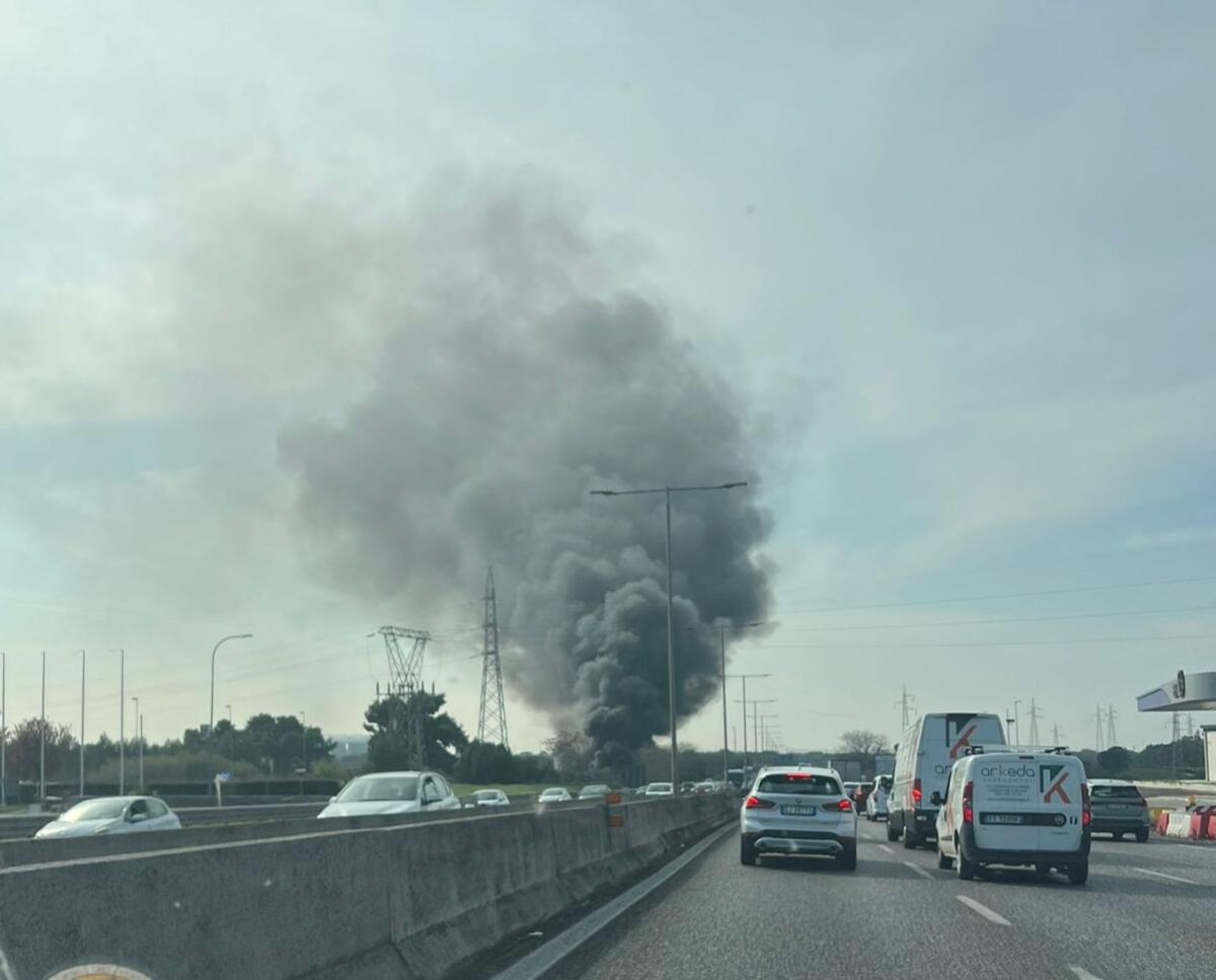 Galleria foto 'Bari, incendio nei pressi della strada statale 16: alta colonna di fumo nero visibile da chilometri – VIDEO' - foto 1