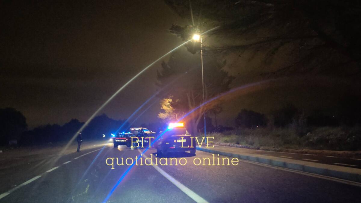 Bari, non si ferma all’alt e fugge: 26enne arrestato dopo un inseguimento, ferito un carabiniere Bari, non si ferma all’alt e fugge: 26enne arrestato dopo un inseguimento, ferito un carabiniere