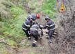 Montalbano Jonico, grosso bovino precipita in una scarpata: salvato dai vigili del fuoco – VIDEO