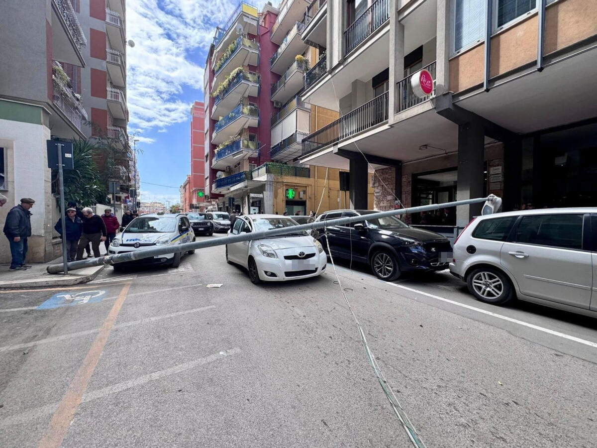 Galleria foto 'Tragedia sfiorata a Barletta, palo della luce precipita su un’auto in transito: paura per una donna' - foto 1