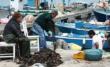 Caro carburanti, l’allarme dei pescatori: «In Puglia vicino al collasso un settore da 225 mln di euro»
