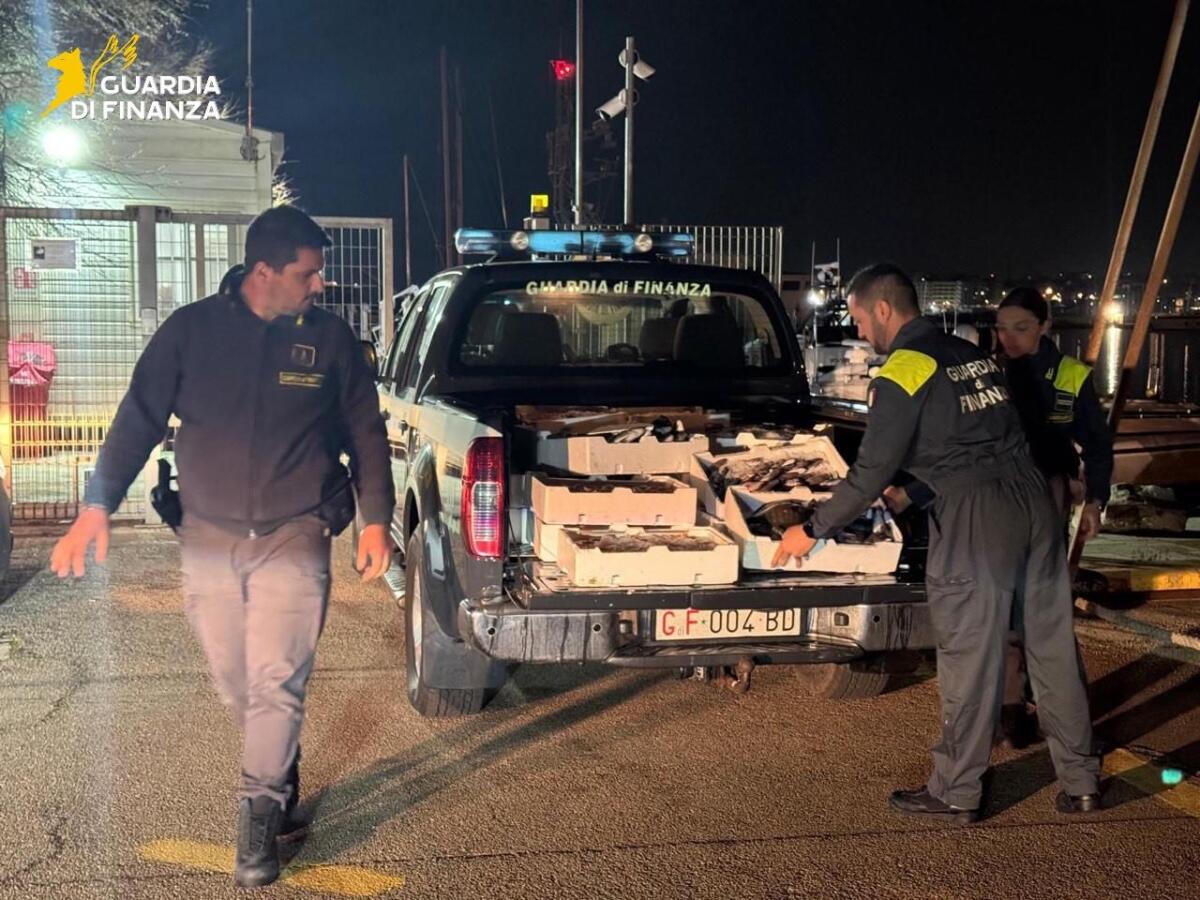 Galleria foto 'Gallipoli, sequestrati 115 chili di pesce non tracciabile: la Guardia di finanza li dona in beneficenza – VIDEO e FOTO' - foto 2