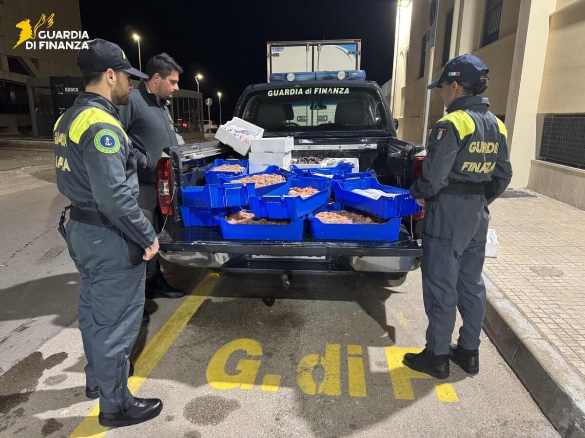 Galleria foto 'Gallipoli, sequestrati 115 chili di pesce non tracciabile: la Guardia di finanza li dona in beneficenza – VIDEO e FOTO' - foto 1