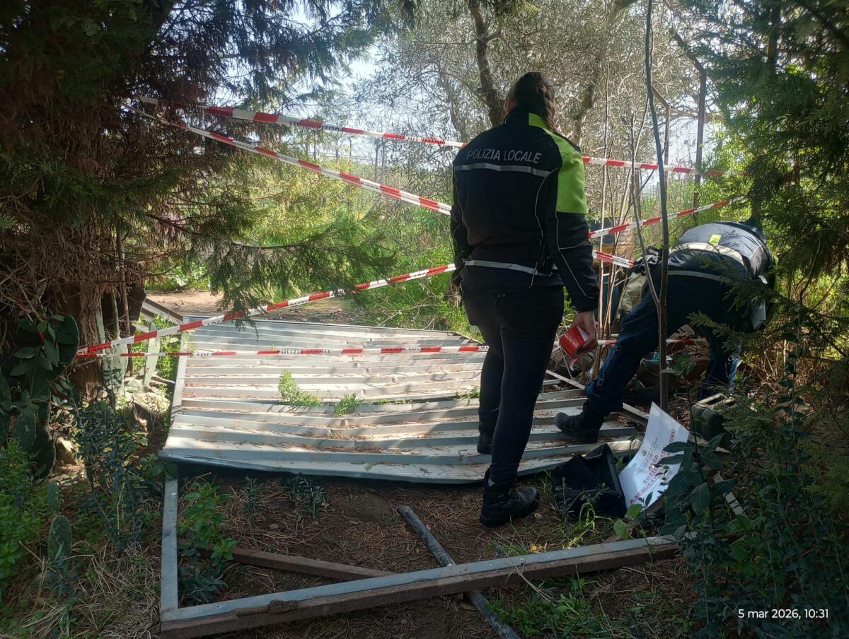 Galleria foto 'Barletta, pitbull legati a catene e in gabbie di 2 metri quadrati: sequestrati 10 cani, denunciato un 26enne – FOTO' - foto 4