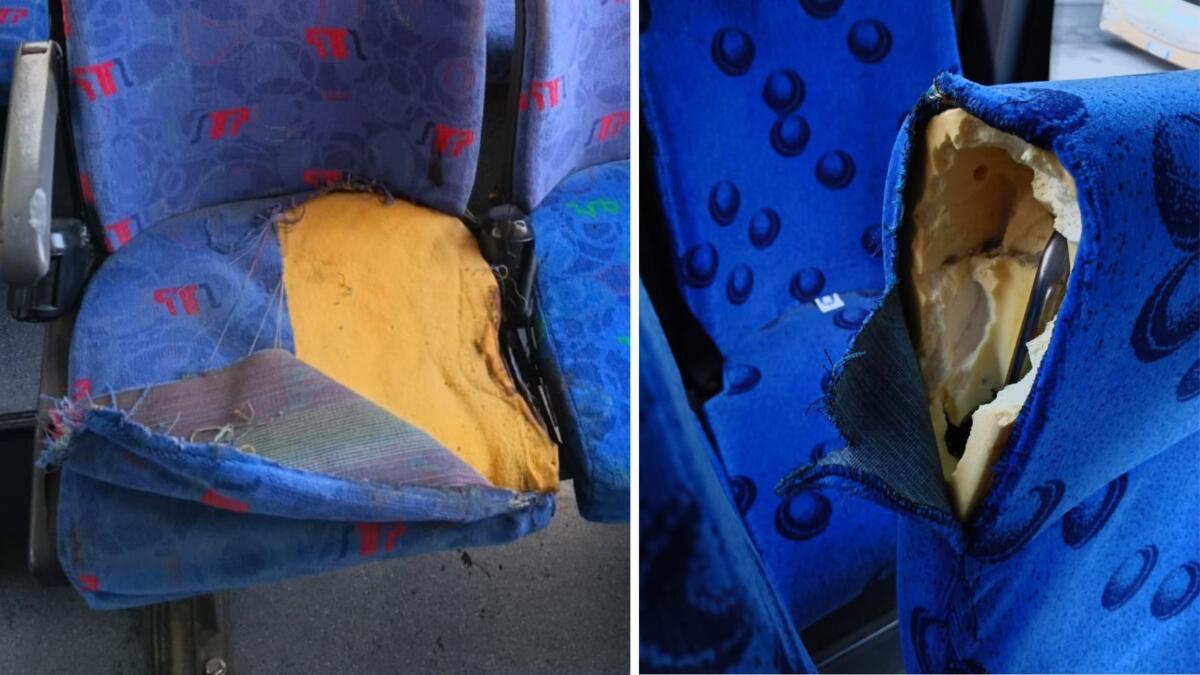 Vandali sugli autobus nel Brindisino, provano a incendiare i sedili: nei guai alcuni ragazzi Vandali sugli autobus nel Brindisino, provano a incendiare i sedili: nei guai alcuni ragazzi