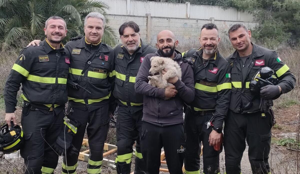 Galleria foto 'Acquaviva delle Fonti, cucciolo di cane cade in un pozzo: salvato dai vigili del fuoco' - foto 1