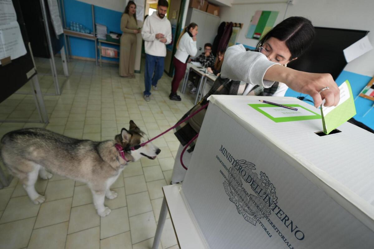 Galleria foto 'Referendum sulla Giustizia, alle 12 affluenza al 14,8%. In Puglia ha votato il 12,1% degli aventi diritto' - foto 1