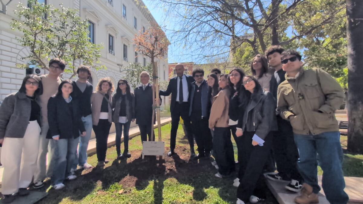 Bari inaugura la “Camminata della Legalità” in memoria delle vittime di mafia: un albero piantato in piazza Cesare Battisti Bari inaugura la “Camminata della Legalità” in memoria delle vittime di mafia: un albero piantato in piazza Cesare Battisti