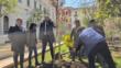 Bari inaugura la “Camminata della Legalità” in memoria delle vittime di mafia: un albero piantato in piazza Cesare Battisti