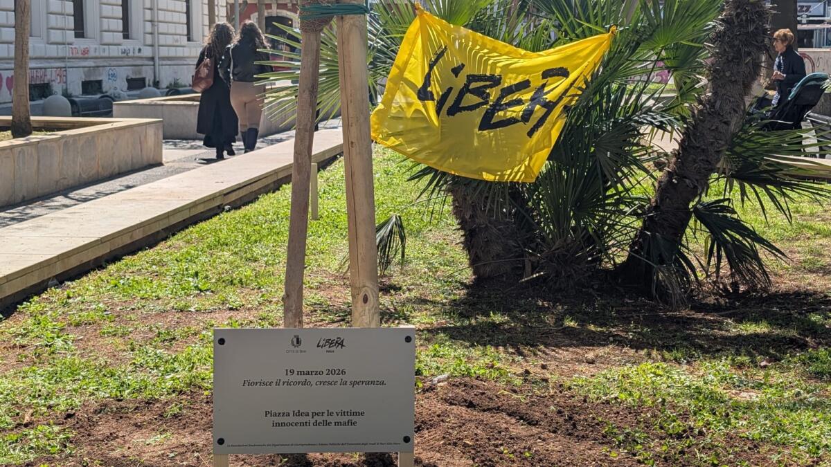 Bari inaugura la “Camminata della Legalità” in memoria delle vittime di mafia: un albero piantato in piazza Cesare Battisti Bari inaugura la “Camminata della Legalità” in memoria delle vittime di mafia: un albero piantato in piazza Cesare Battisti