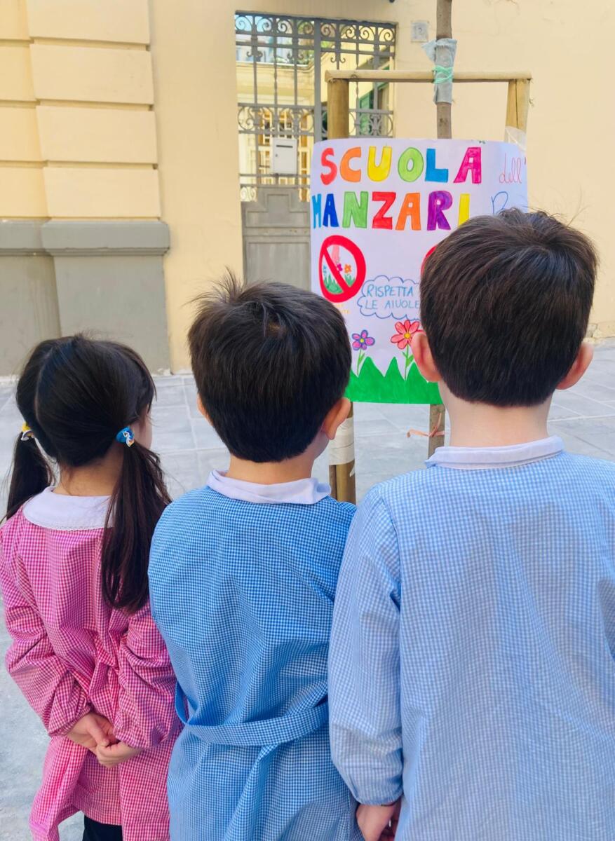 Galleria foto 'Bari, rubate le piante dalle nuove aiuole in via Manzoni: la lezione di civiltà arriva dai bimbi dell’asilo – FOTO' - foto 7