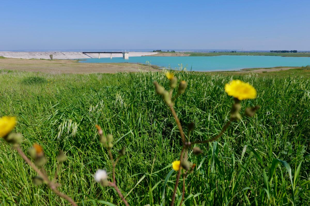 Dopo 30 anni in funzione la diga del Pappadai nel Tarantino: acqua dalla Basilicata per i campi del Salento – FOTO e VIDEO