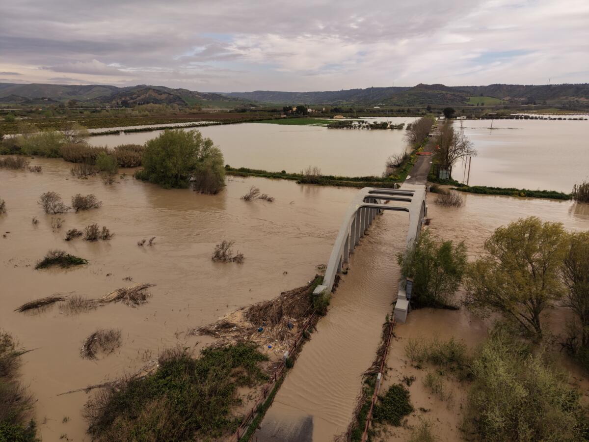 Maltempo, esonda il fiume Basento: il Comune di Pisticci conta i danni e chiede lo stato di calamità – FOTO