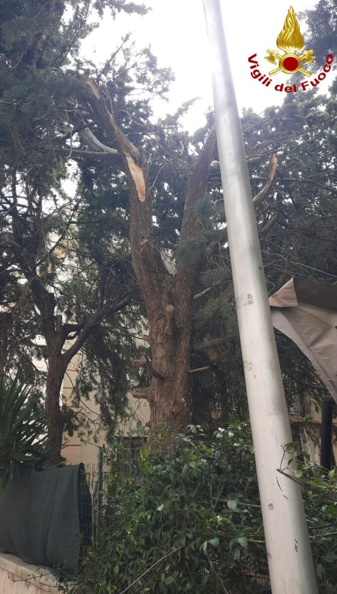 Galleria foto 'Vento forte nel Barese: alberi caduti, tetti divelti e balconi pericolanti. Evacuati Politecnico e Veterinaria – FOTO' - foto 6