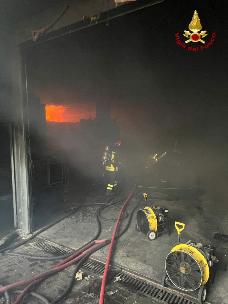 Altamura, vasto incendio nella zona industriale: in fiamme un capannone di 600 metri quadri – FOTO Altamura, vasto incendio nella zona industriale: in fiamme un capannone di 600 metri quadri – FOTO