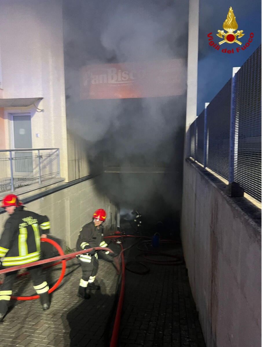 Altamura, vasto incendio nella zona industriale: in fiamme un capannone di 600 metri quadri – FOTO Altamura, vasto incendio nella zona industriale: in fiamme un capannone di 600 metri quadri – FOTO