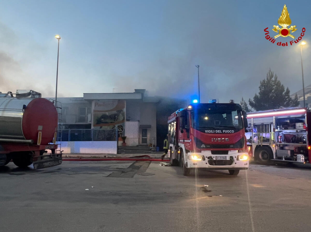 Altamura, vasto incendio nella zona industriale: in fiamme un capannone di 600 metri quadri – FOTO Altamura, vasto incendio nella zona industriale: in fiamme un capannone di 600 metri quadri – FOTO